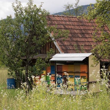 Apartma Petra Ravnik - Wanderer'S Hut Leilighet Bohinj Eksteriør bilde