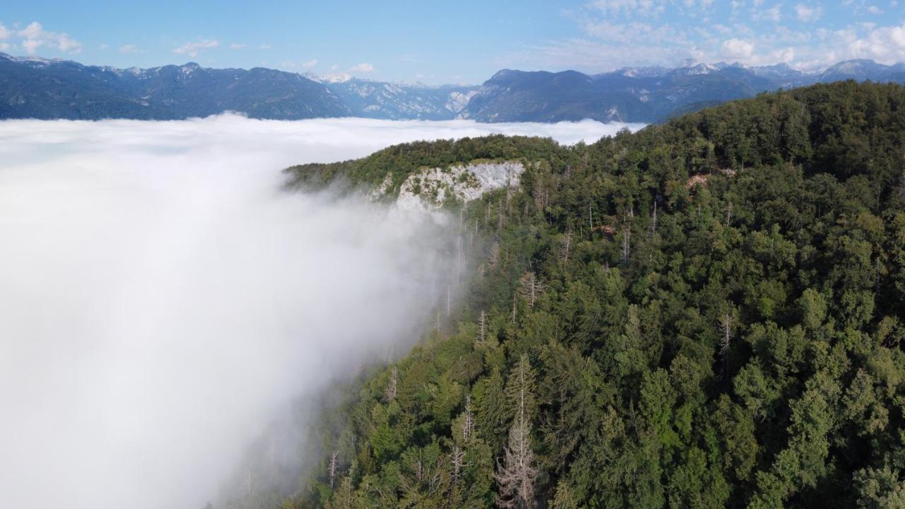 Apartma Petra Ravnik - Wanderer'S Hut Leilighet Bohinj Eksteriør bilde