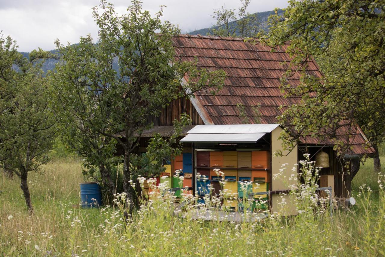 Apartma Petra Ravnik - Wanderer'S Hut Leilighet Bohinj Eksteriør bilde